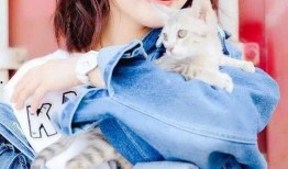 于正爆料金晨圈内秘事,于正揭露不为人知的娱乐圈真相